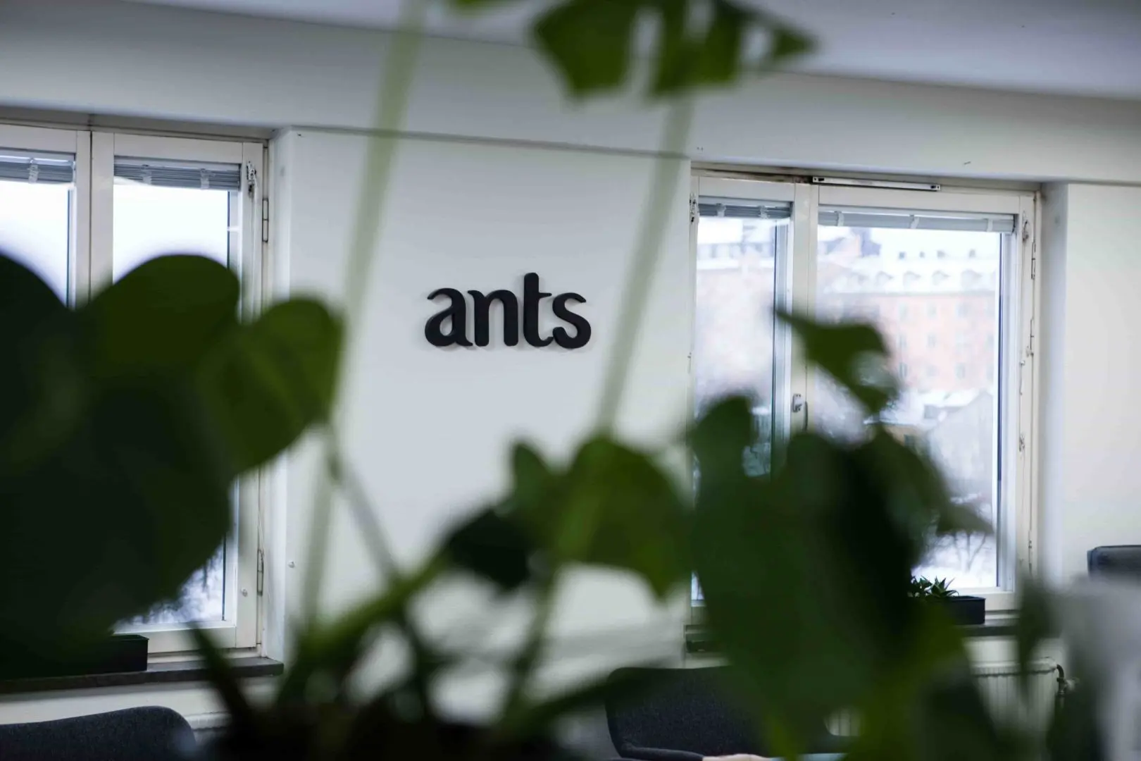 Skylt på loggan för Ants Tech Recruiters som bland annat rekryterar Javautvecklare.