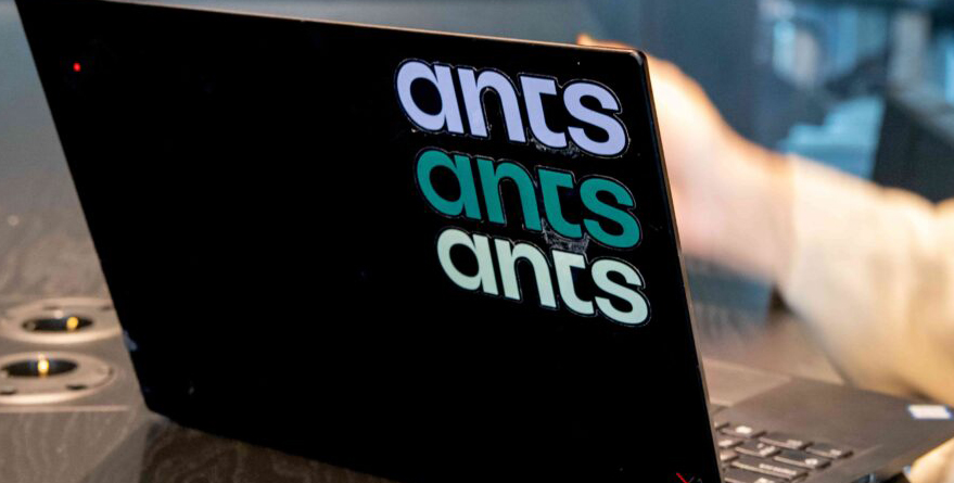 IT-rekrytering med Ants